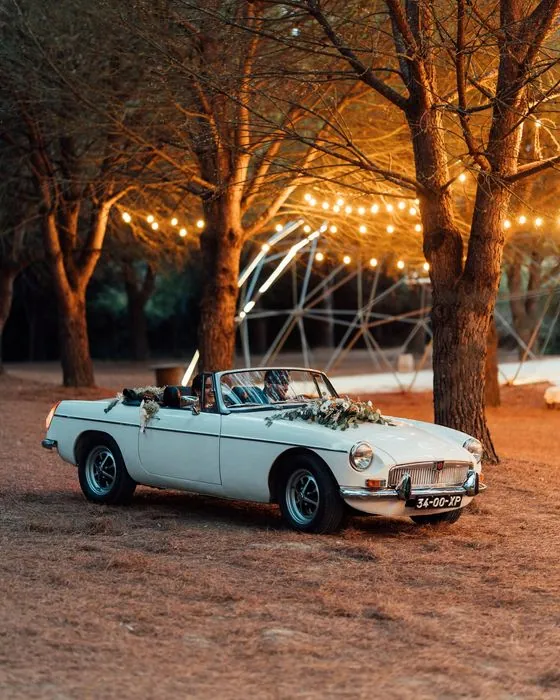 MGB Branco ao anoitecer, sob árvores iluminadas